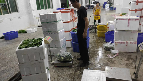 �麣�Ї��h����־�J�C�C��