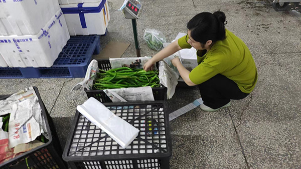 監測 核查 溫室氣體 監測 核查 溫室氣體